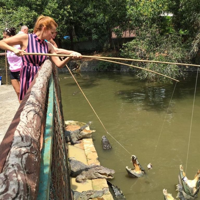 Trải nghiệm câu cá sấu giải trí tại suối nước nóng Bình Châu